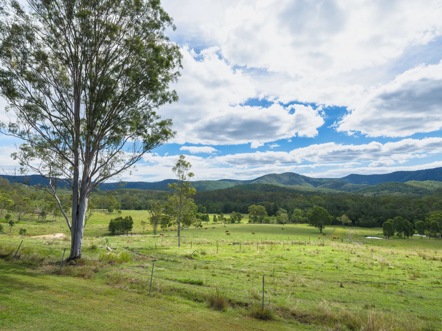 Additional image 28 of Widgee QLD 4570