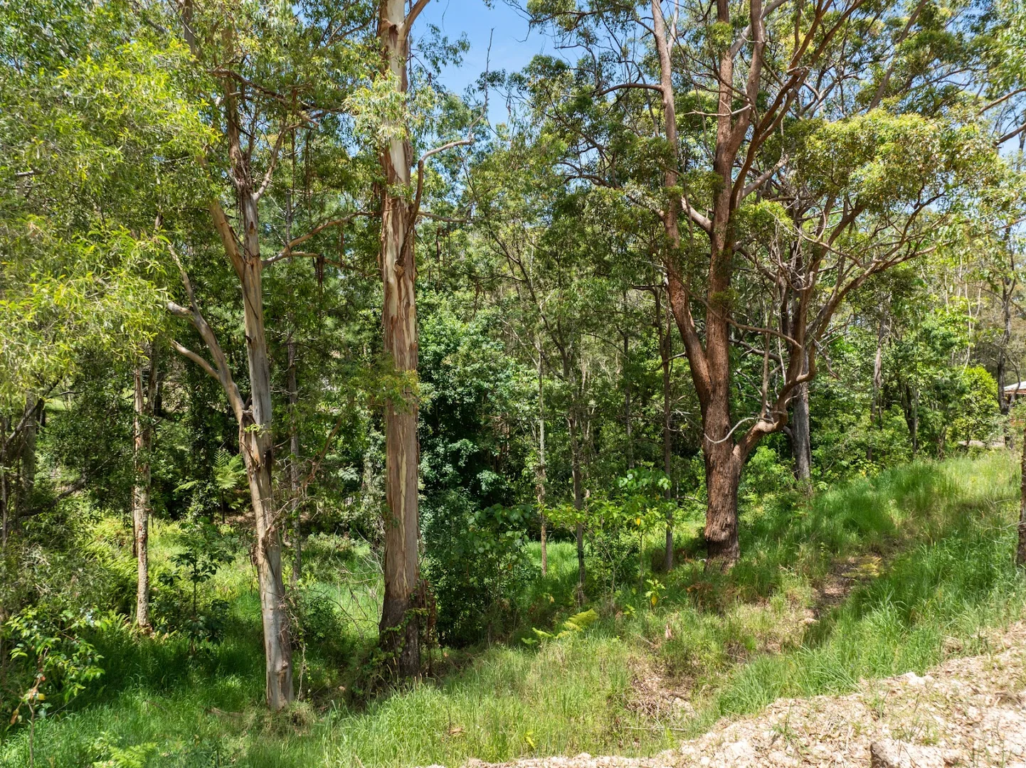 Image 14