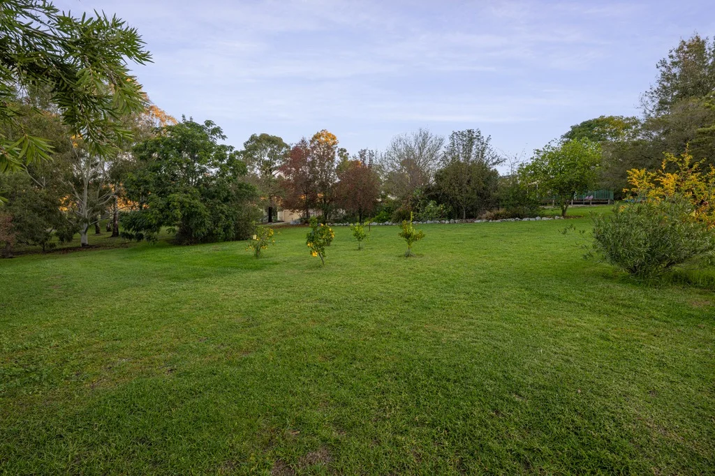 Image 24