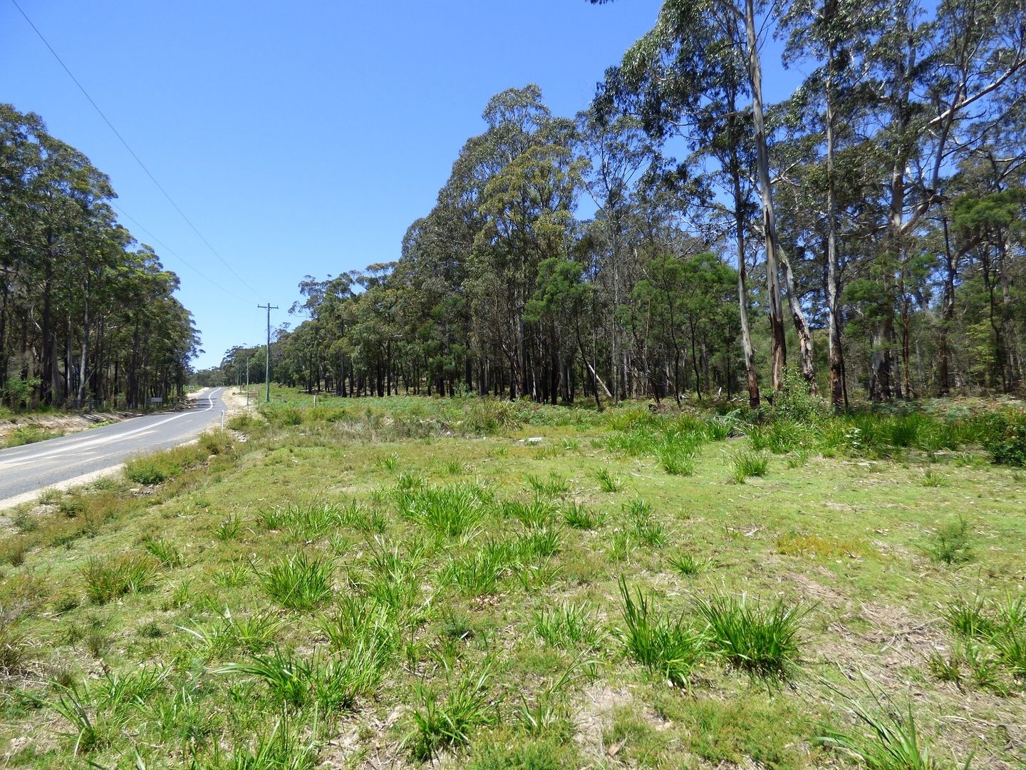 Proposed LOT A Gleeson Road Wonboyn Via, Eden NSW 2551, Image 2