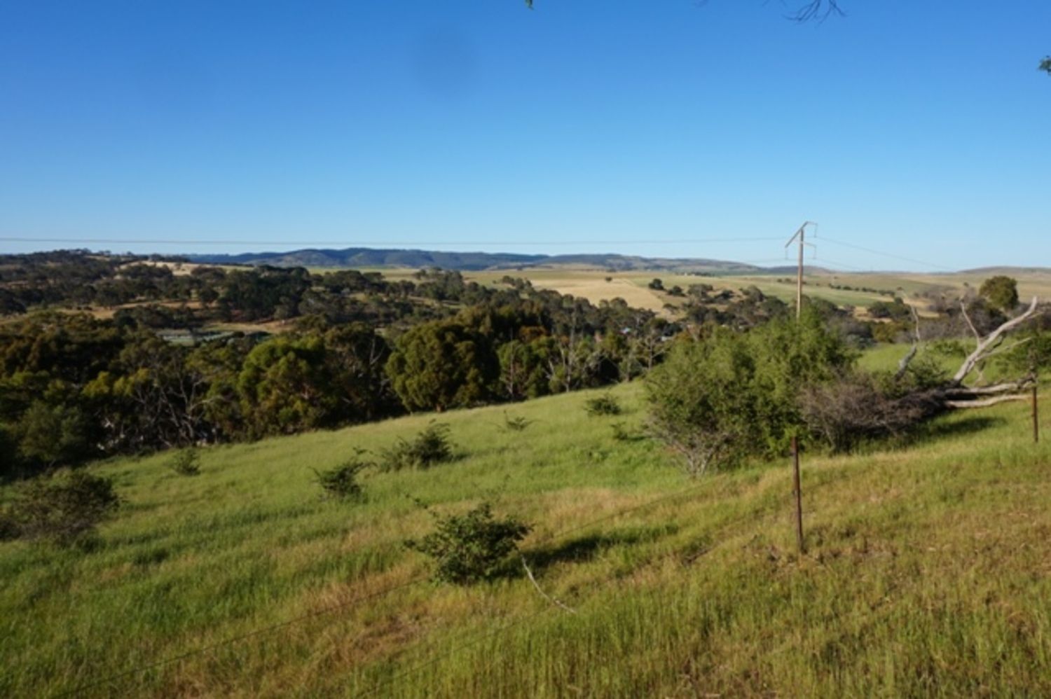 Lot 6 Jervois Road, Yankalilla SA 5203, Image 1