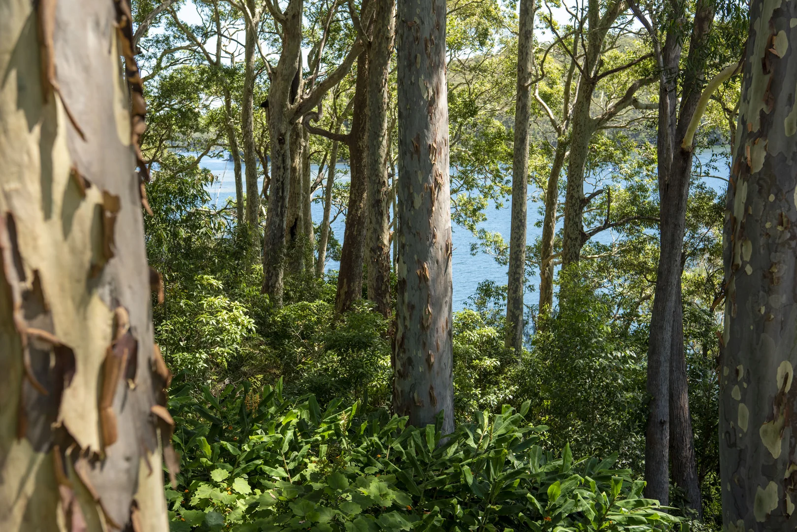 Additional image 7 of 58 Kings Point Drive, Kings Point NSW 2539