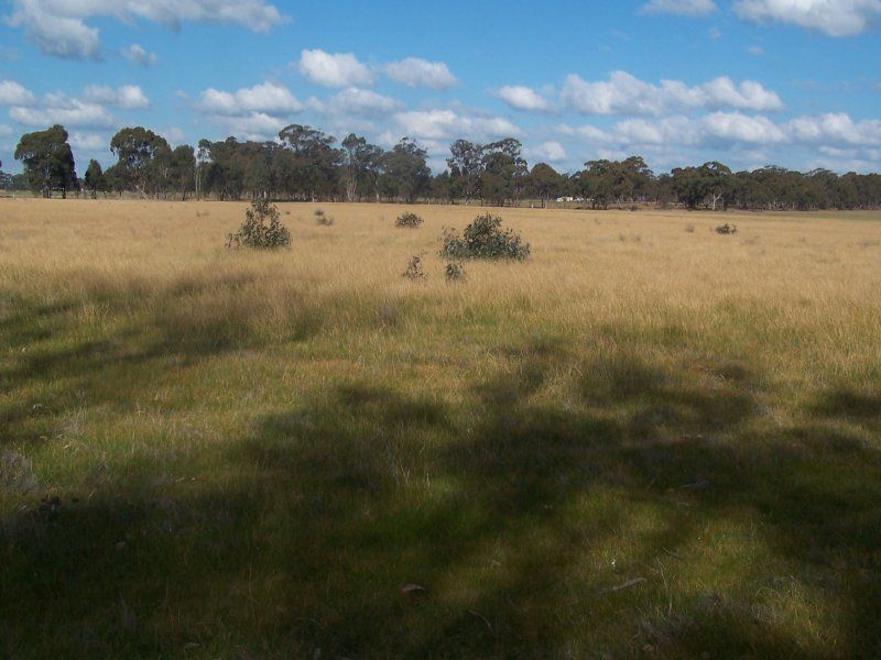 Wet Lane, Inglewood VIC 3517, Image 1