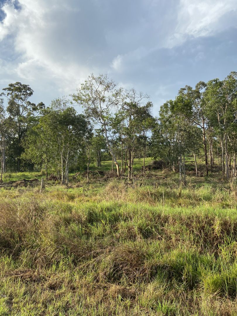 Habana QLD 4740 House for Sale Domain