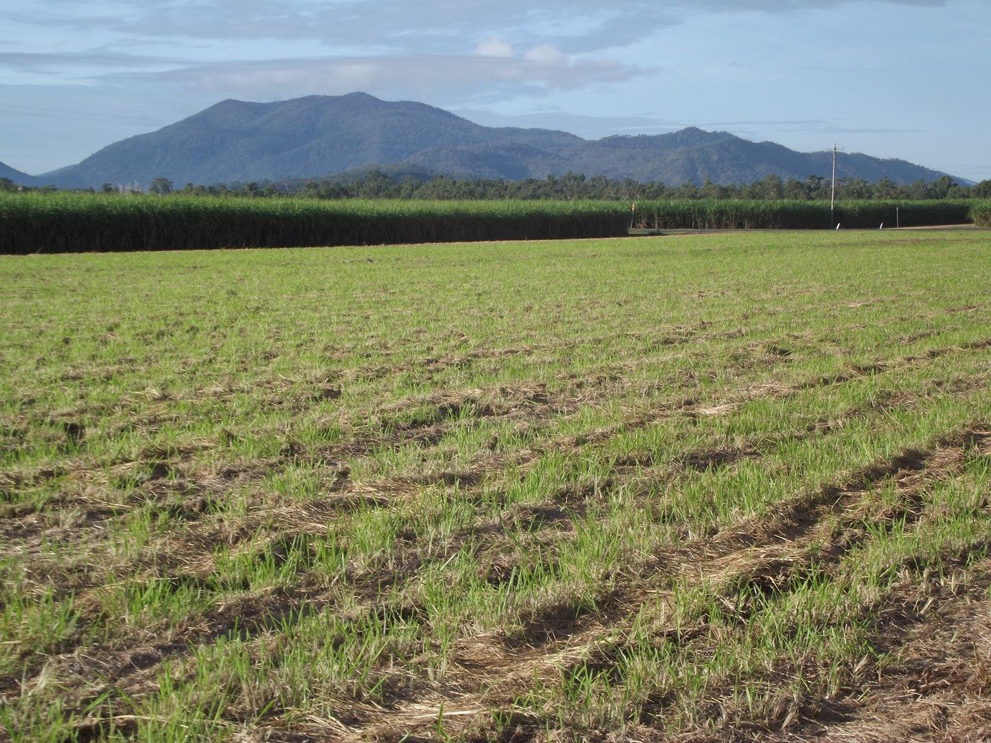 Benholme QLD 4754, Image 0