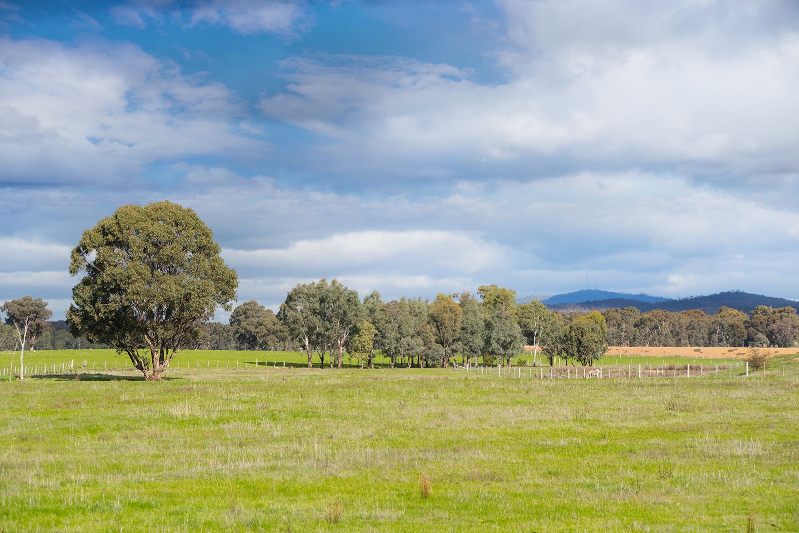 Lot 1 Collins Lane, Emu Creek VIC 3551, Image 1