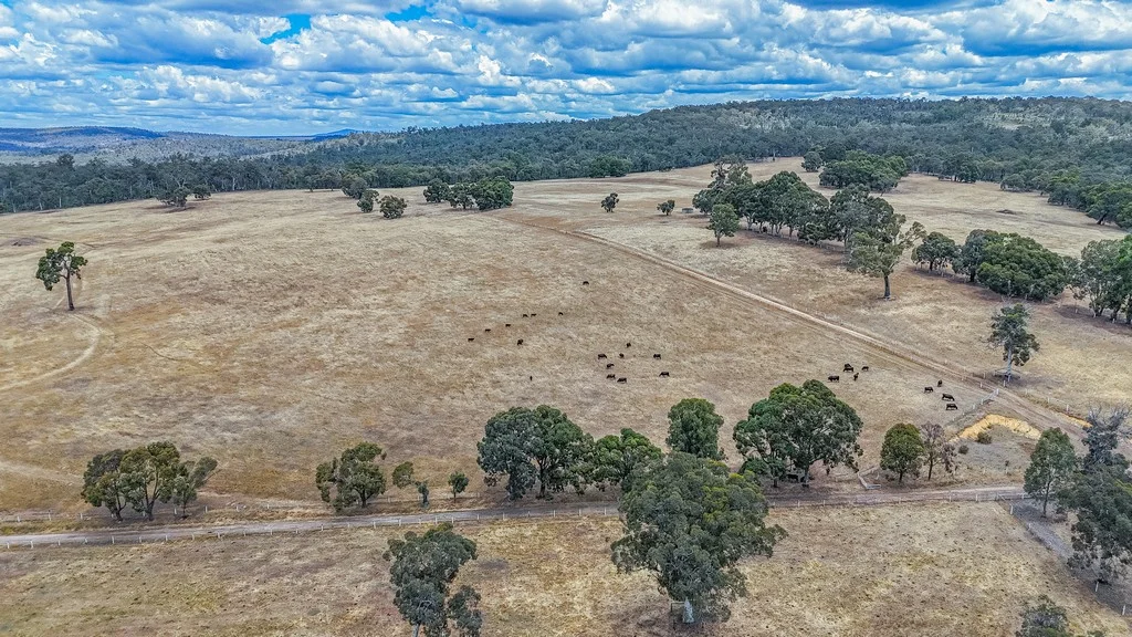 Additional image 47 of 3901 Tudor Park Road, The Lakes WA 6556