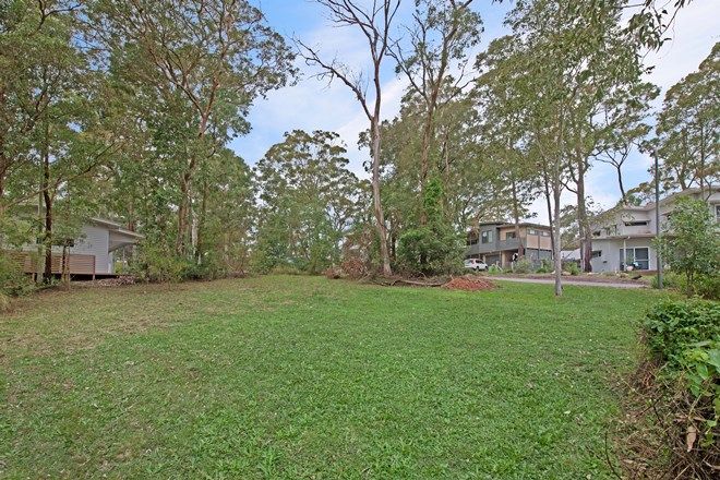 Picture of 16 Grey Gum Trail, MURRAYS BEACH NSW 2281