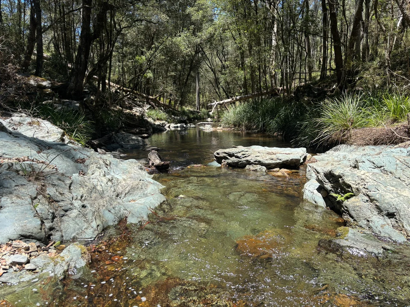 83 Eaglehawk Trail, Yarrowitch NSW 2354