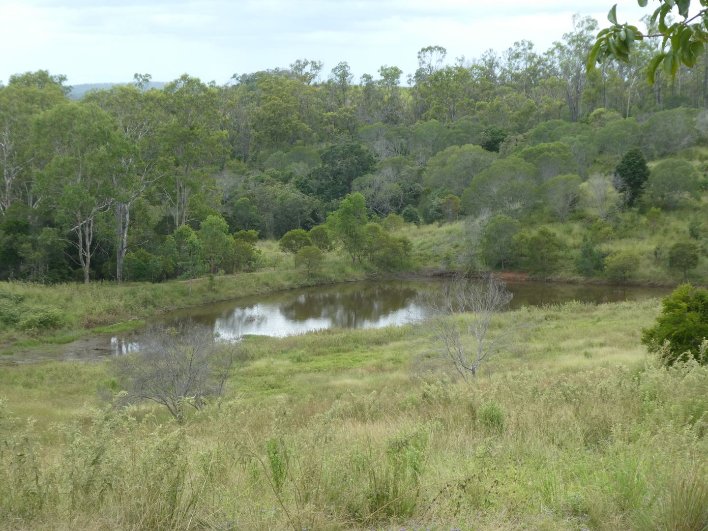 Morganville QLD 4671, Image 1