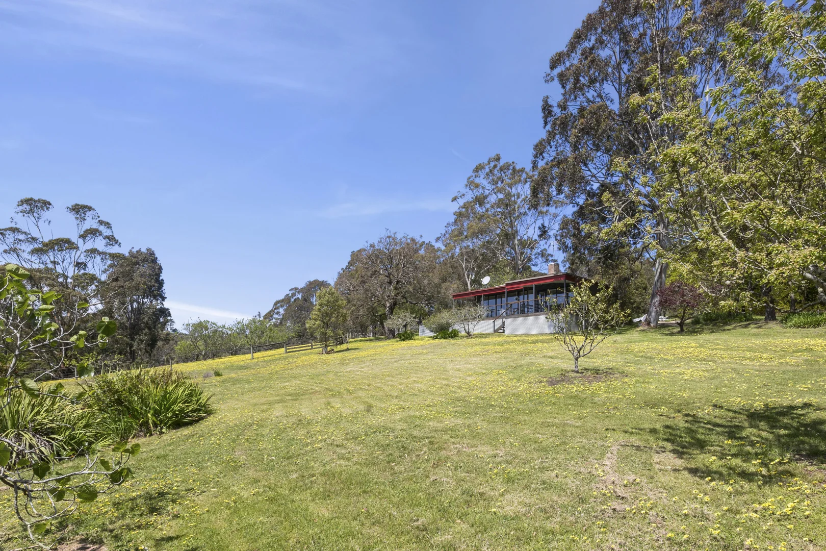 Additional image 13 of 100 Bambra Cemetery Road, Deans Marsh VIC 3235