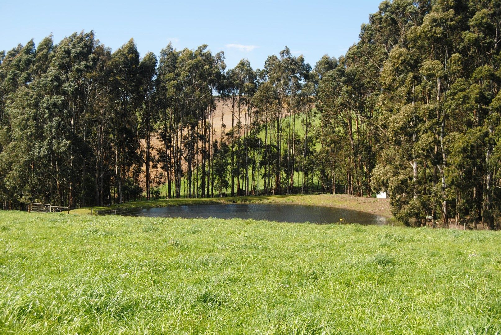 Lot 3, 2365 GRAND RIDGE ROAD, Hallston VIC 3953, Image 0