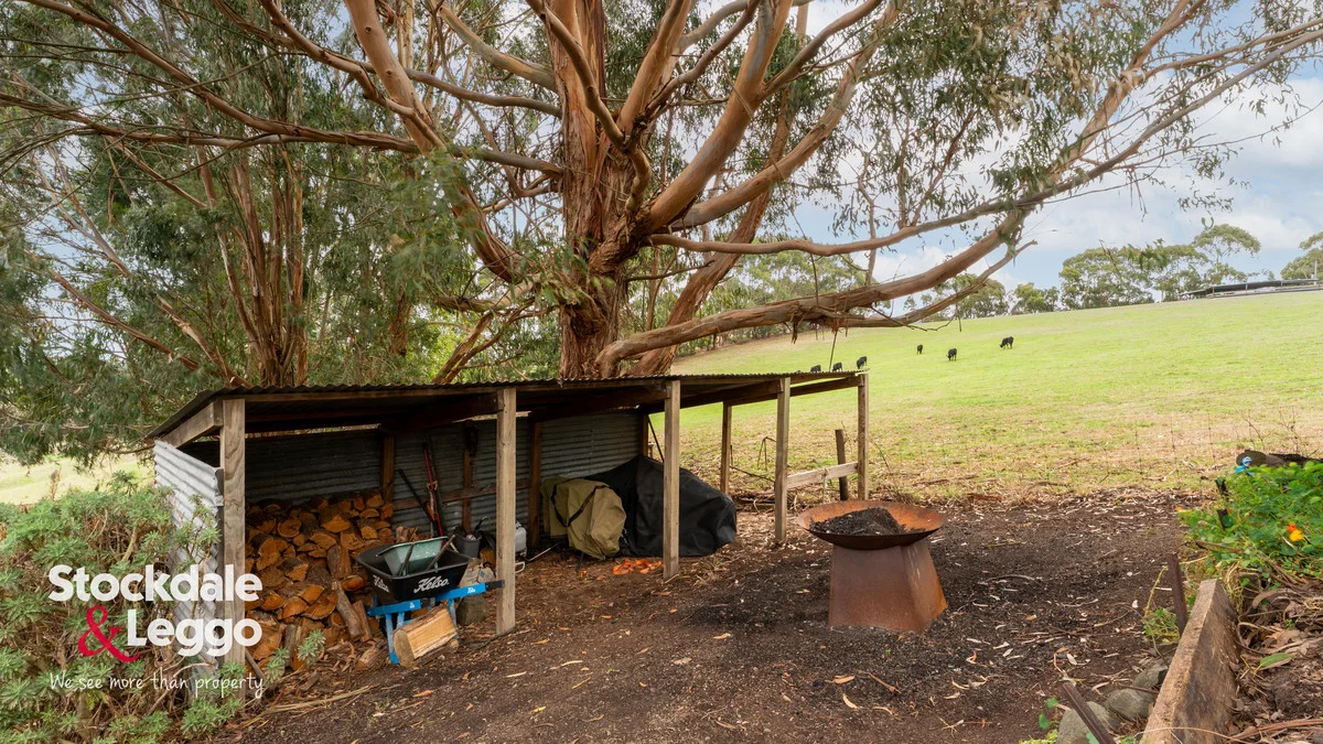 Image 19