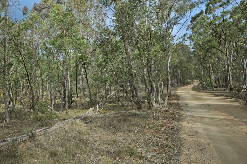256 Hartley Vale Rd, Hartley Vale NSW 2790, Image 0