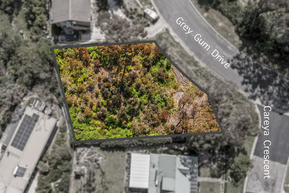 19 Grey Gum Drive, Woodford NSW 2778, Image 0
