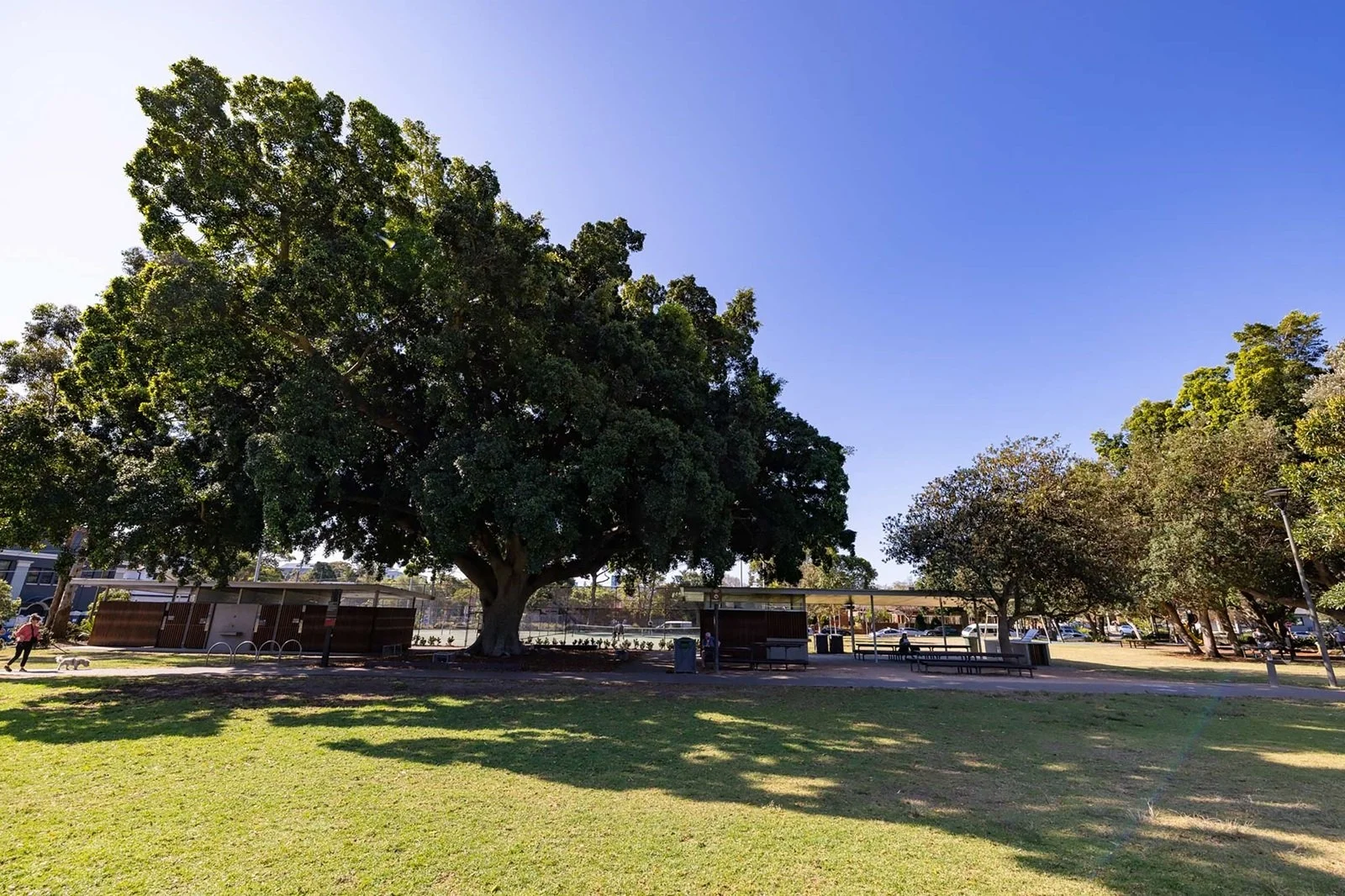 Image 12