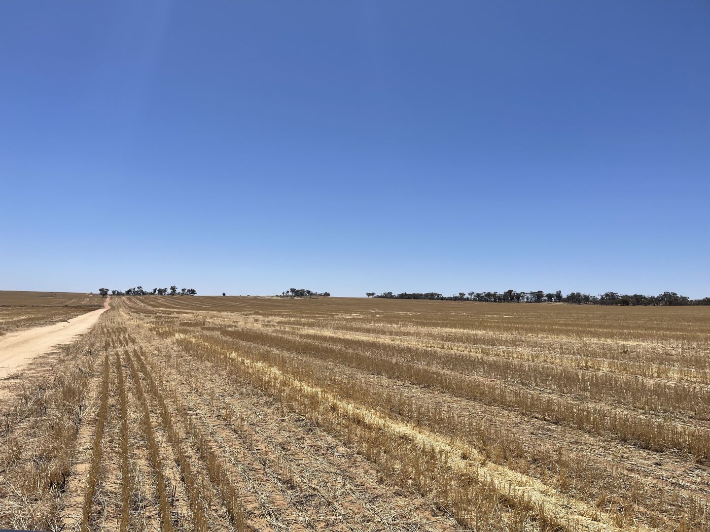 . Le Vaux's, Nungarin WA 6490, Image 2