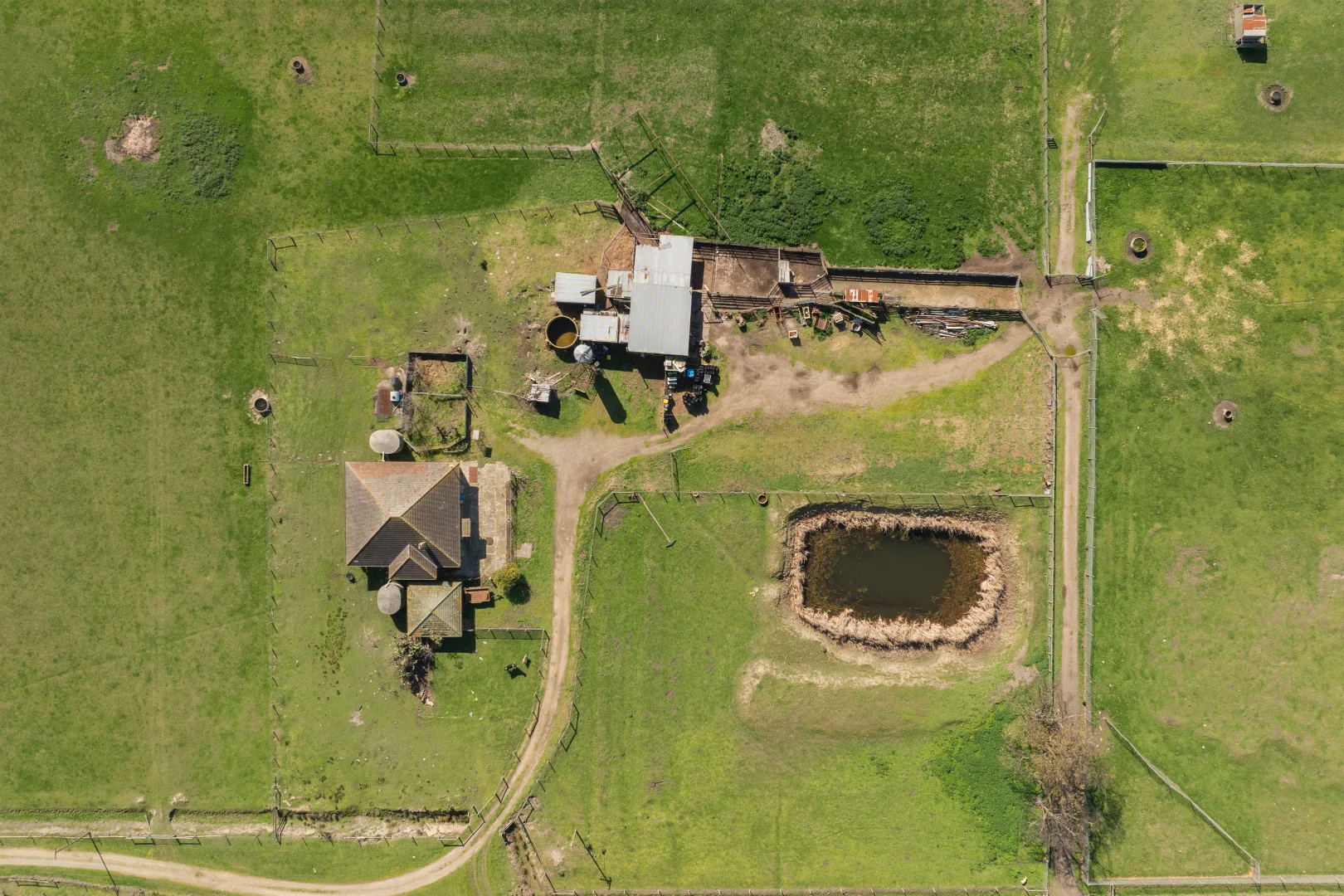 Image 9