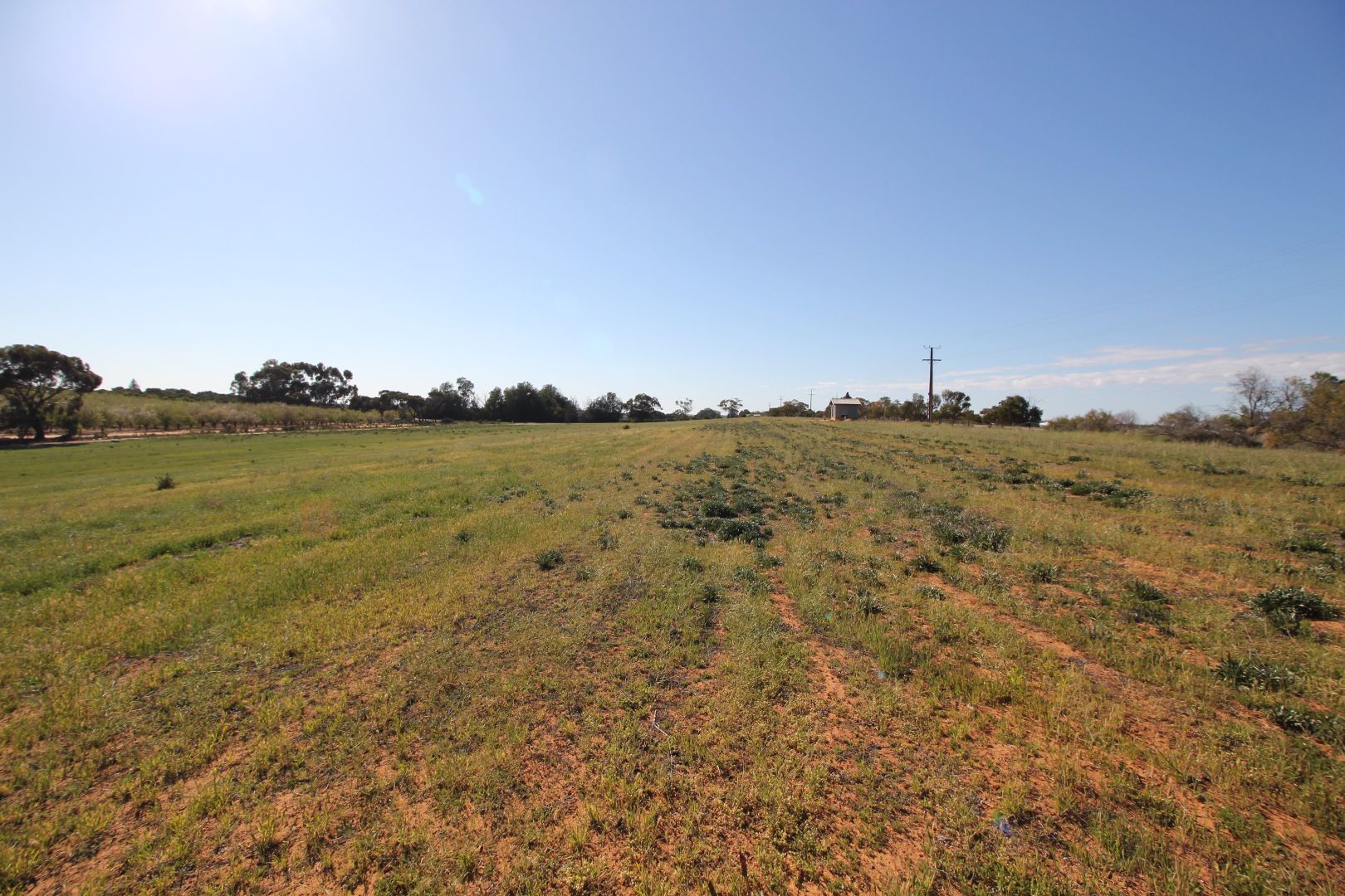 Sect  548 Gratwick Road, Loxton SA 5333, Image 2