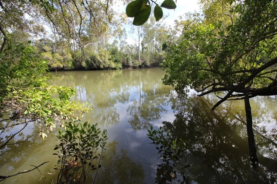 Image 18