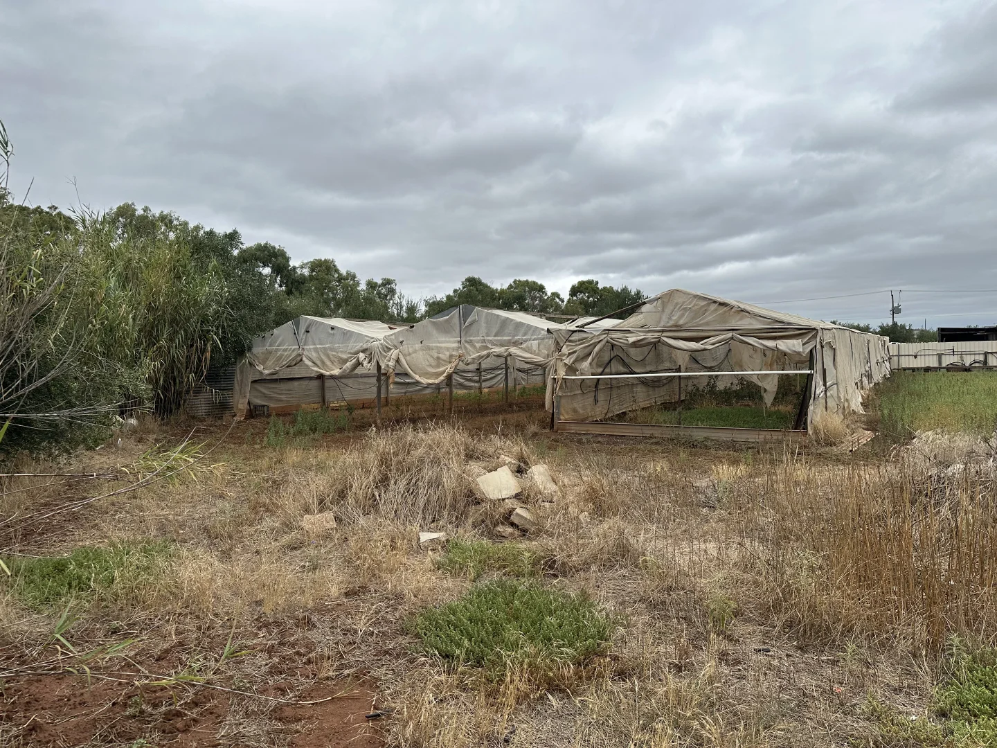 Additional image 7 of Lot 24 Wyatt Road, Direk SA 5110