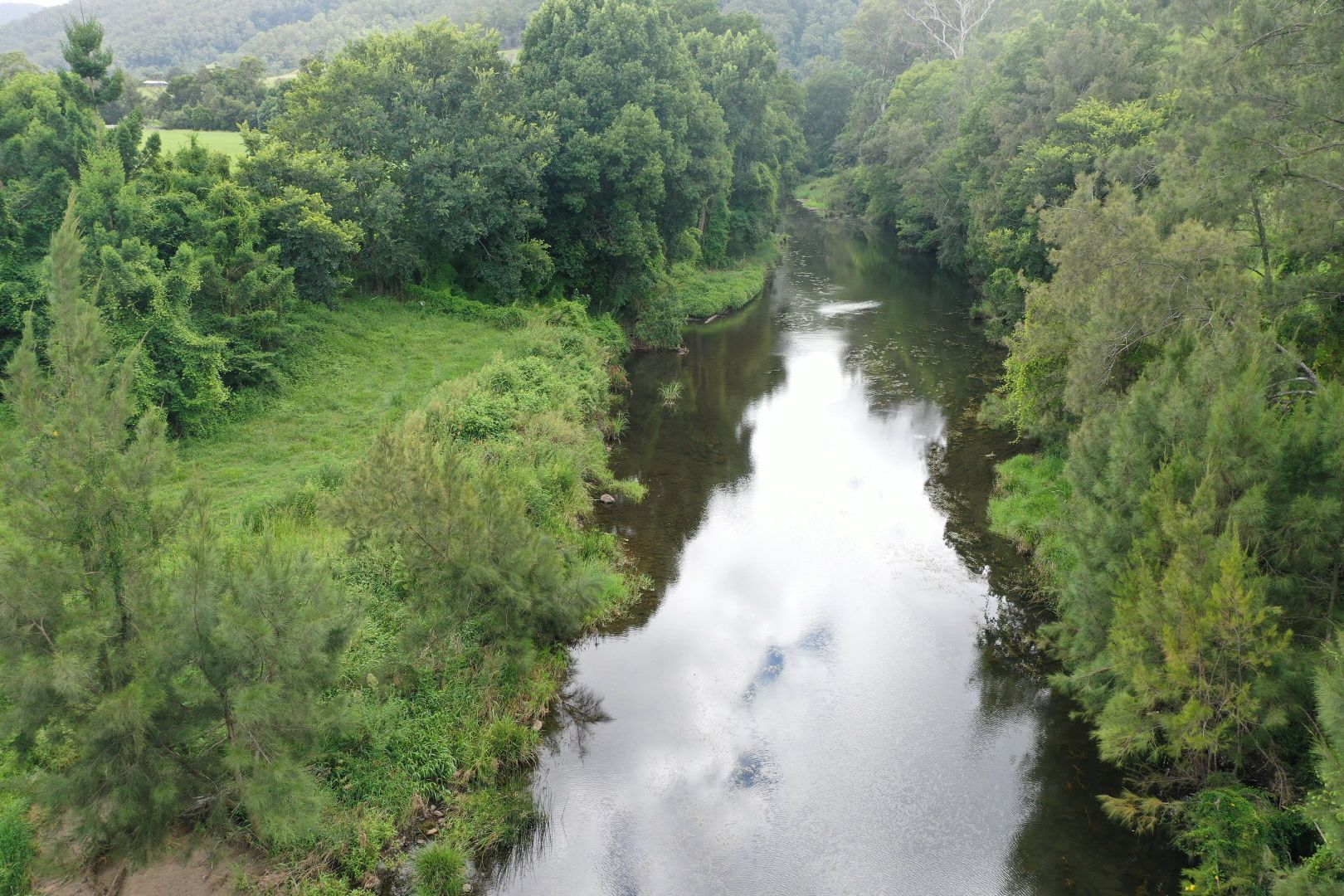 376 Findon Creek Road, Kyogle NSW 2474, Image 1
