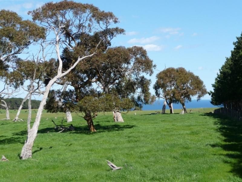 Lot 1/-3 Parsons Beach, WAITPINGA SA 5211, Image 0