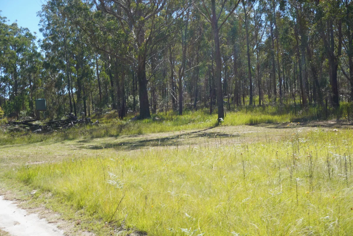 Additional image 19 of 1293 Mount Lindesay Road, Tenterfield NSW 2372