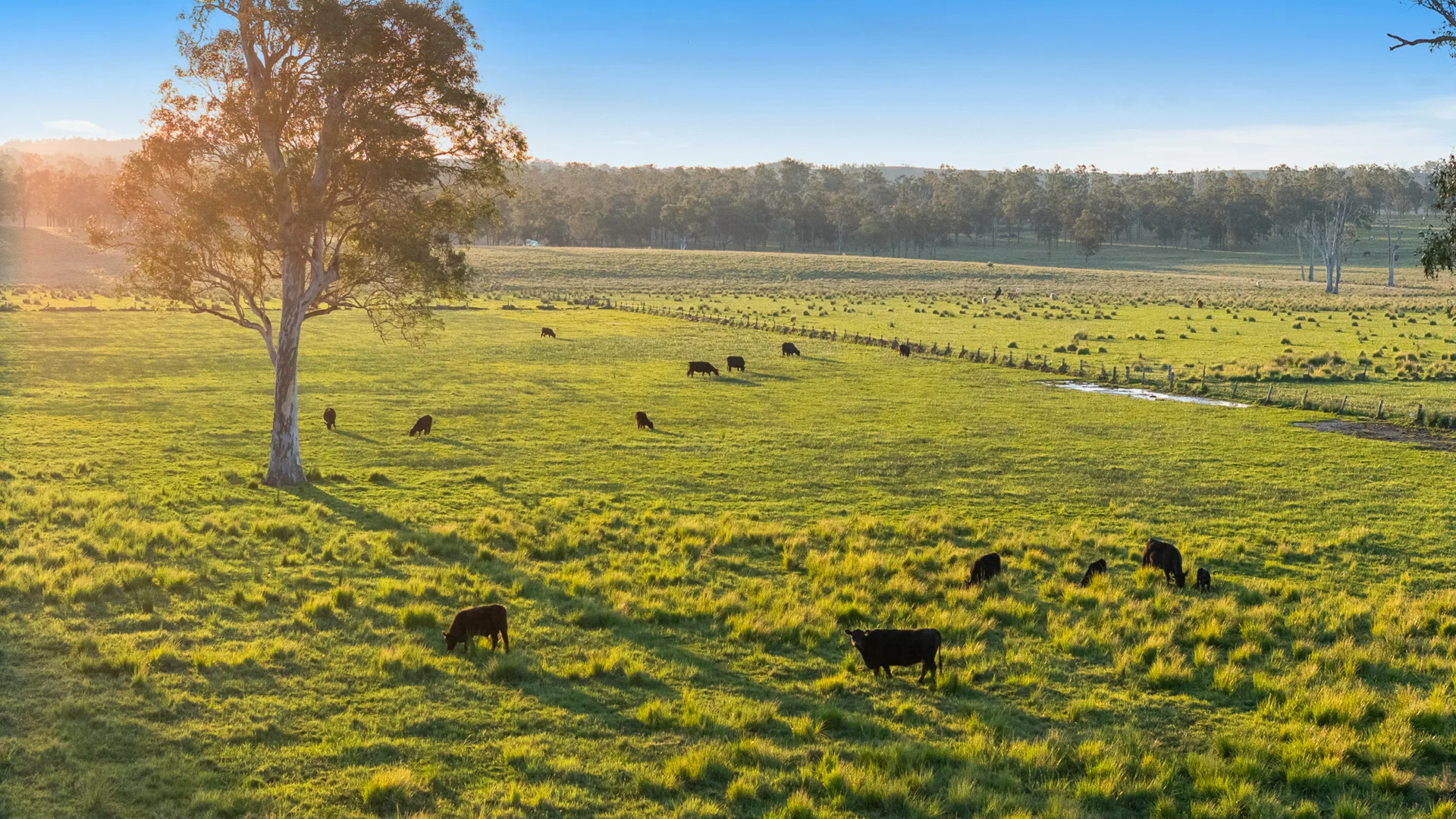 Additional image 5 of 4986 Cunningham Highway, Warrill View QLD 4307