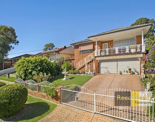 49 Acacia Avenue, Waratah West NSW 2298