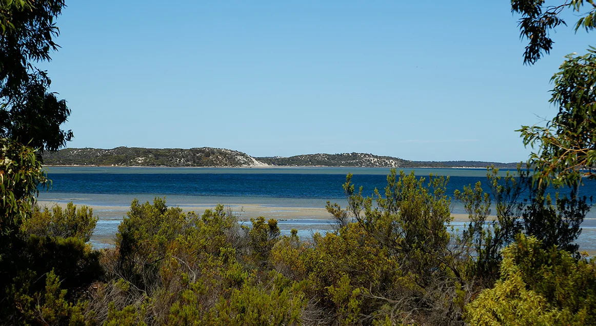 Image 12
