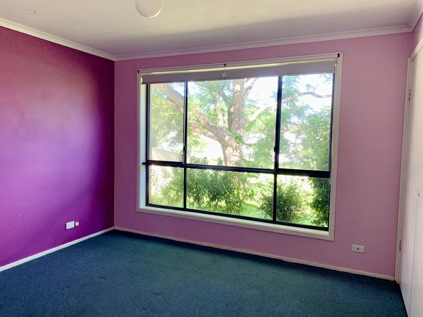 Additional image 4 of 50 Thunderbolt Drive, Raby NSW 2566