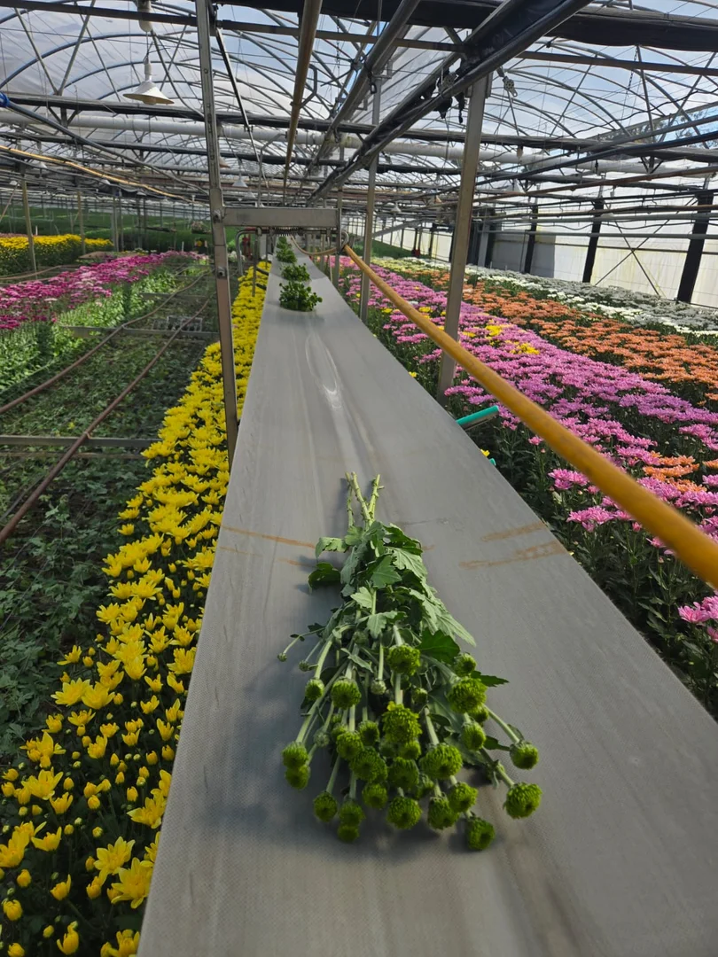 Additional image 4 of 83 Burton Road, Birdwood SA 5234