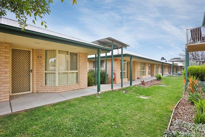 111 Rental Properties In Mildura Vic 3500 Domain