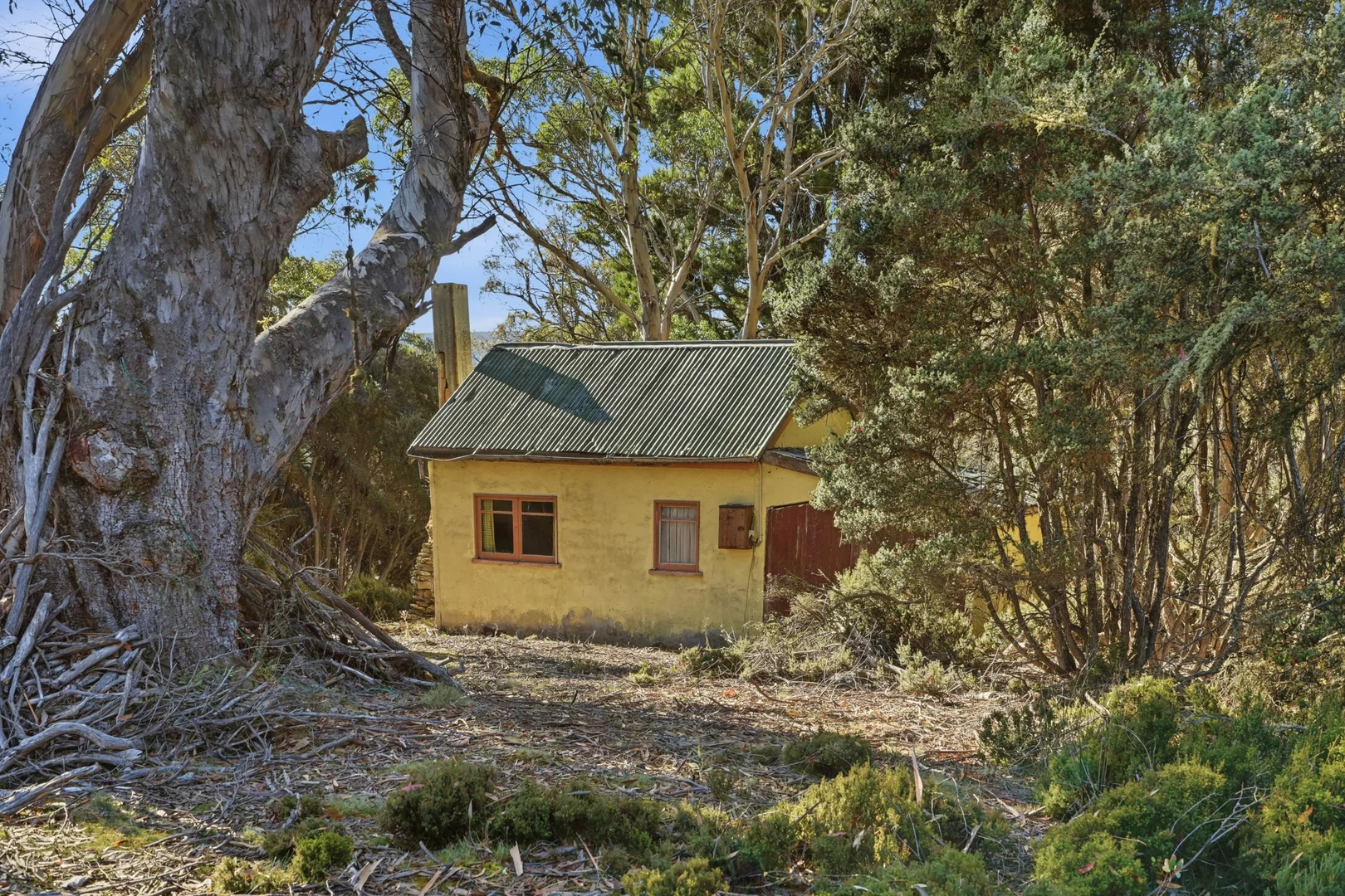 Image 19