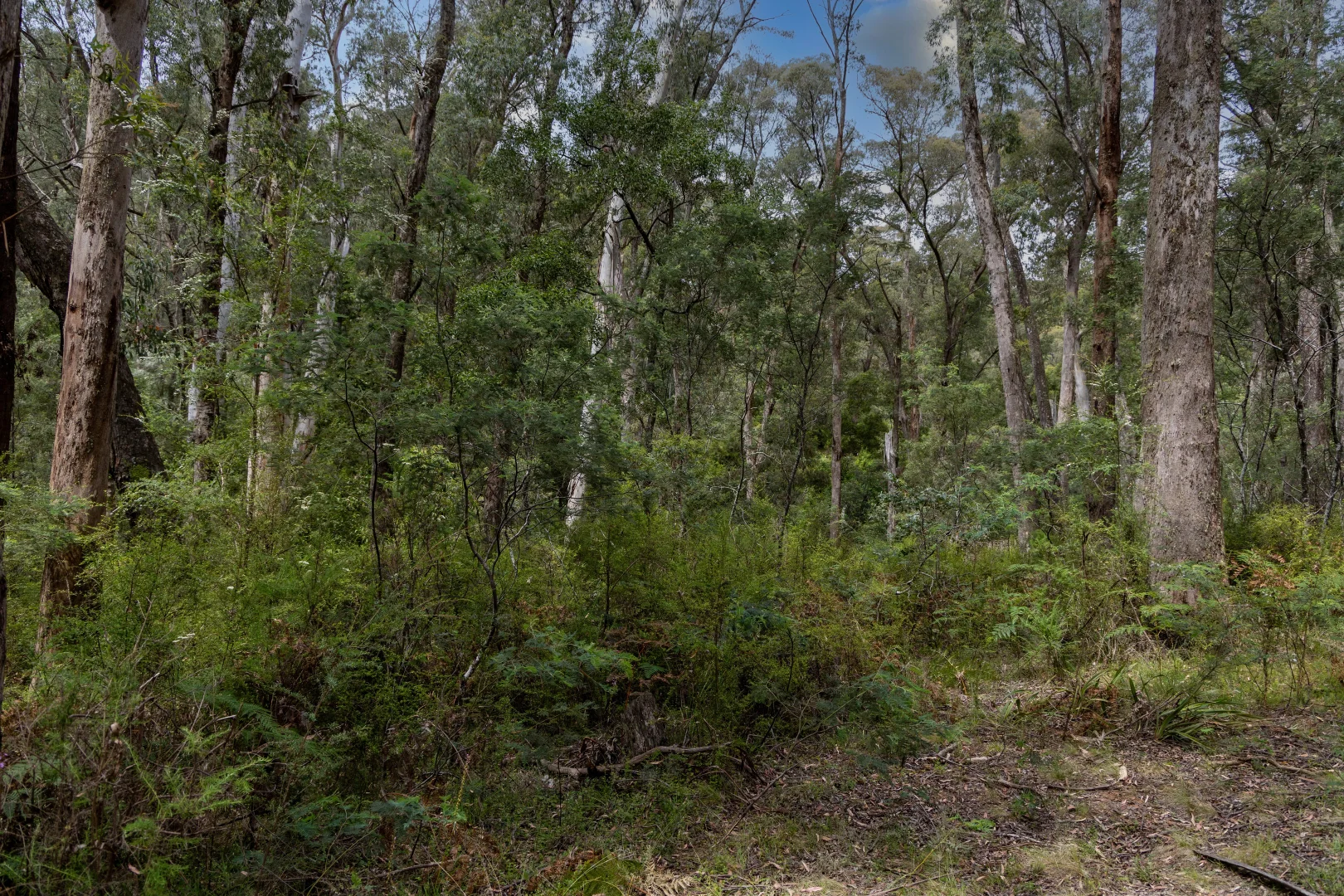 Image 12