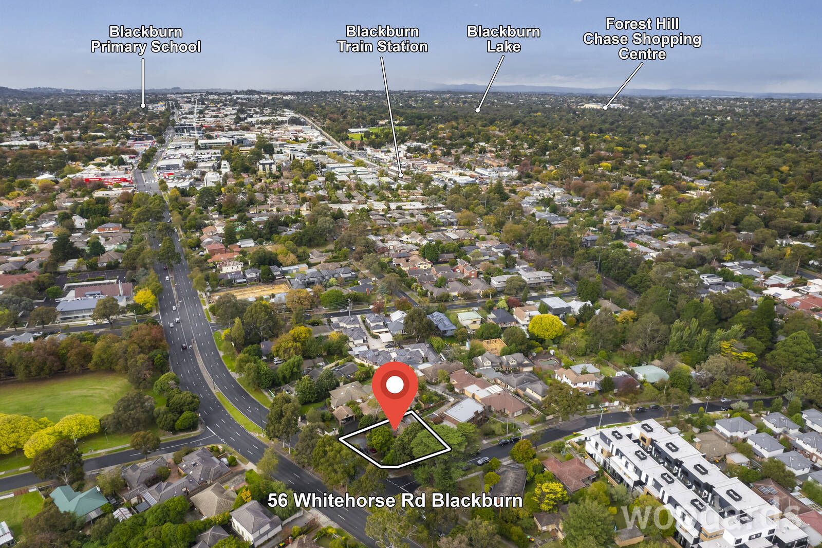 56 Whitehorse Road, Blackburn VIC 3130, Image 2