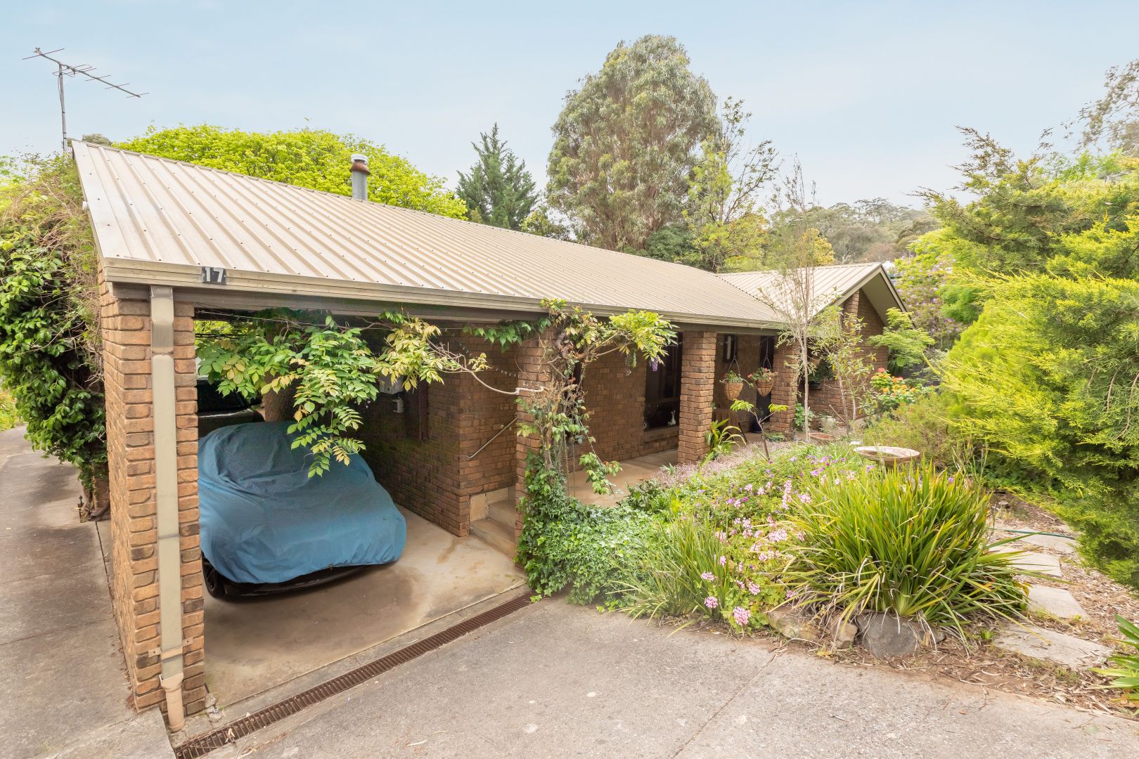 17 Turners Avenue, Hawthornden Property History & Address Research