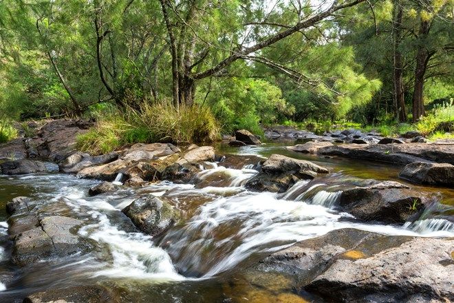 Picture of Lot 19 Nowendoc Road, COOPLACURRIPA NSW 2424