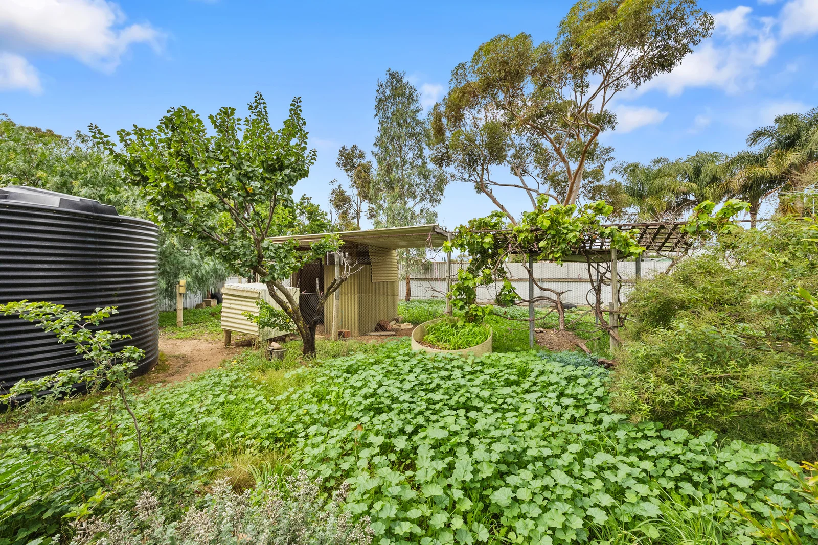 Additional image 22 of 28 Garden Crescent, Murray Bridge SA 5253