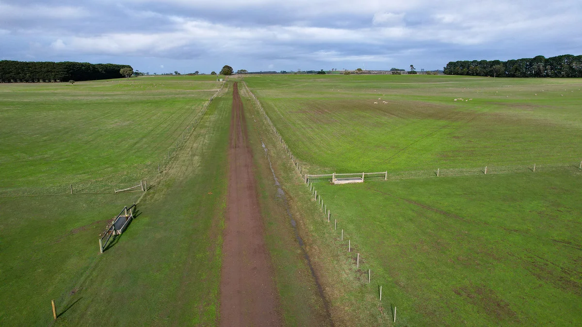 Image 12