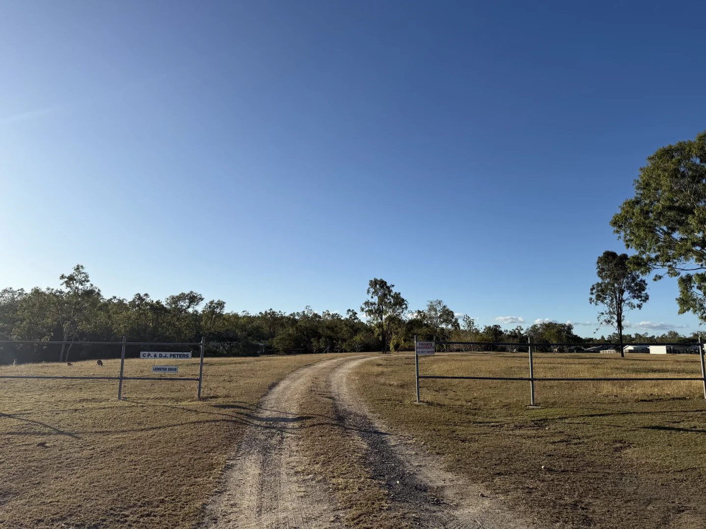 Image 46