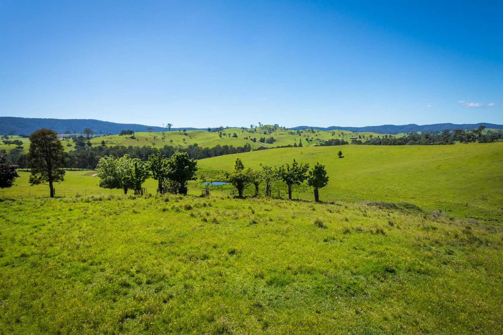 Lot 123 'Foster Paddock' Princes Hwy, Bega NSW 2550, Image 0