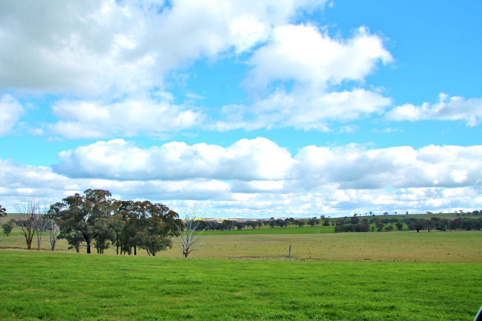 0 Crouchdale Lane, Bendick Murrell, Young NSW 2594, Image 2