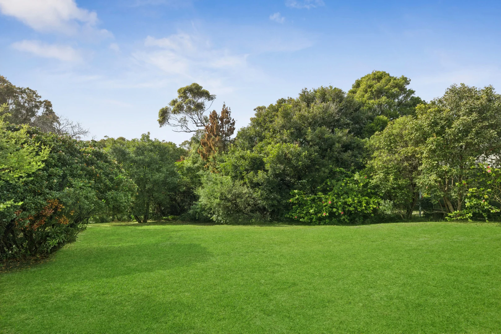 Image 13