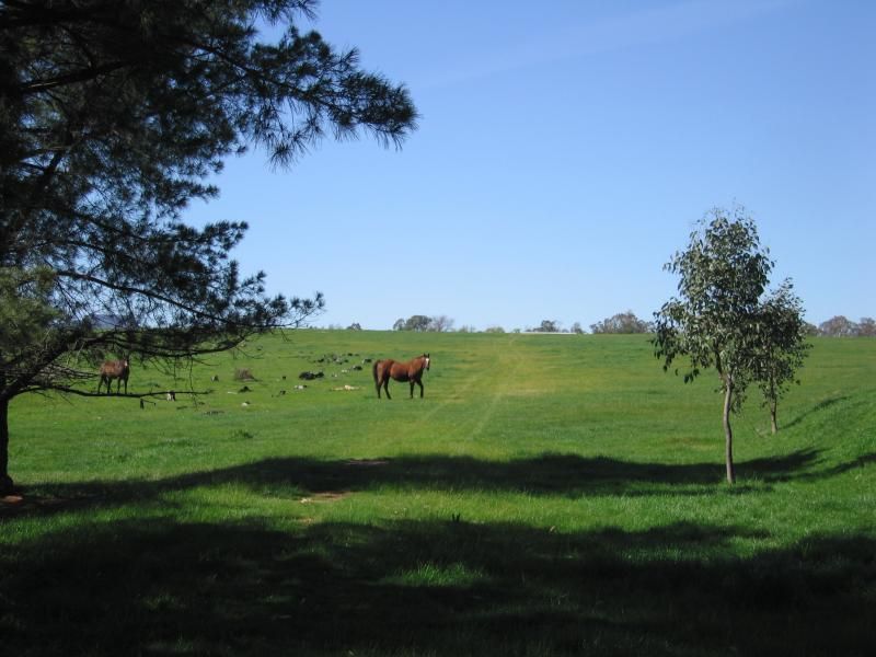 - Gerogery West Road, GEROGERY NSW 2642, Image 1