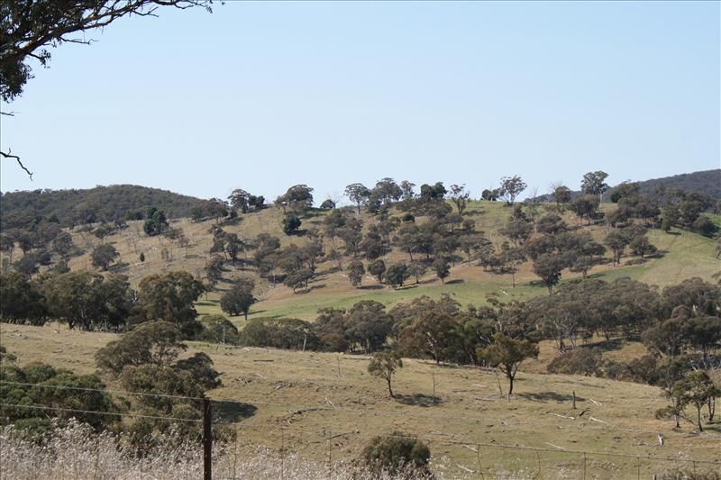 Turondale NSW 2795, Image 2