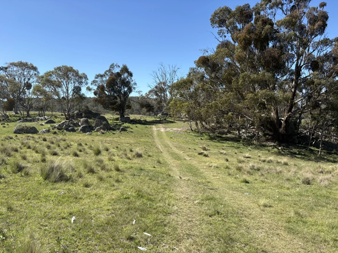 Image 14