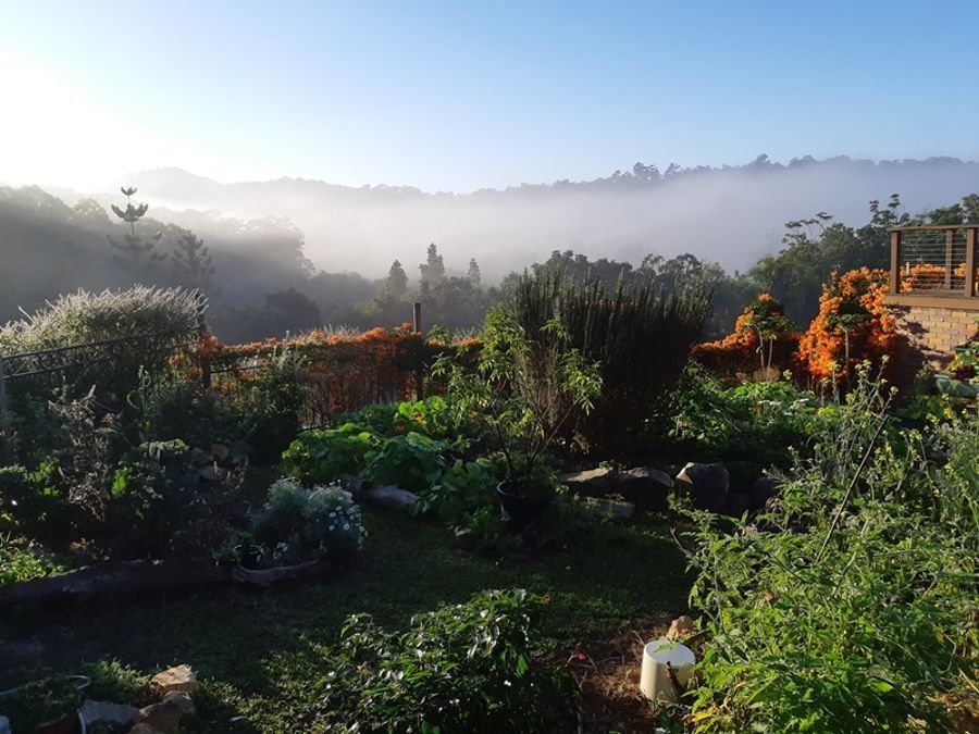 Mothar Mountain QLD 4570 House for Sale 775,000 Domain