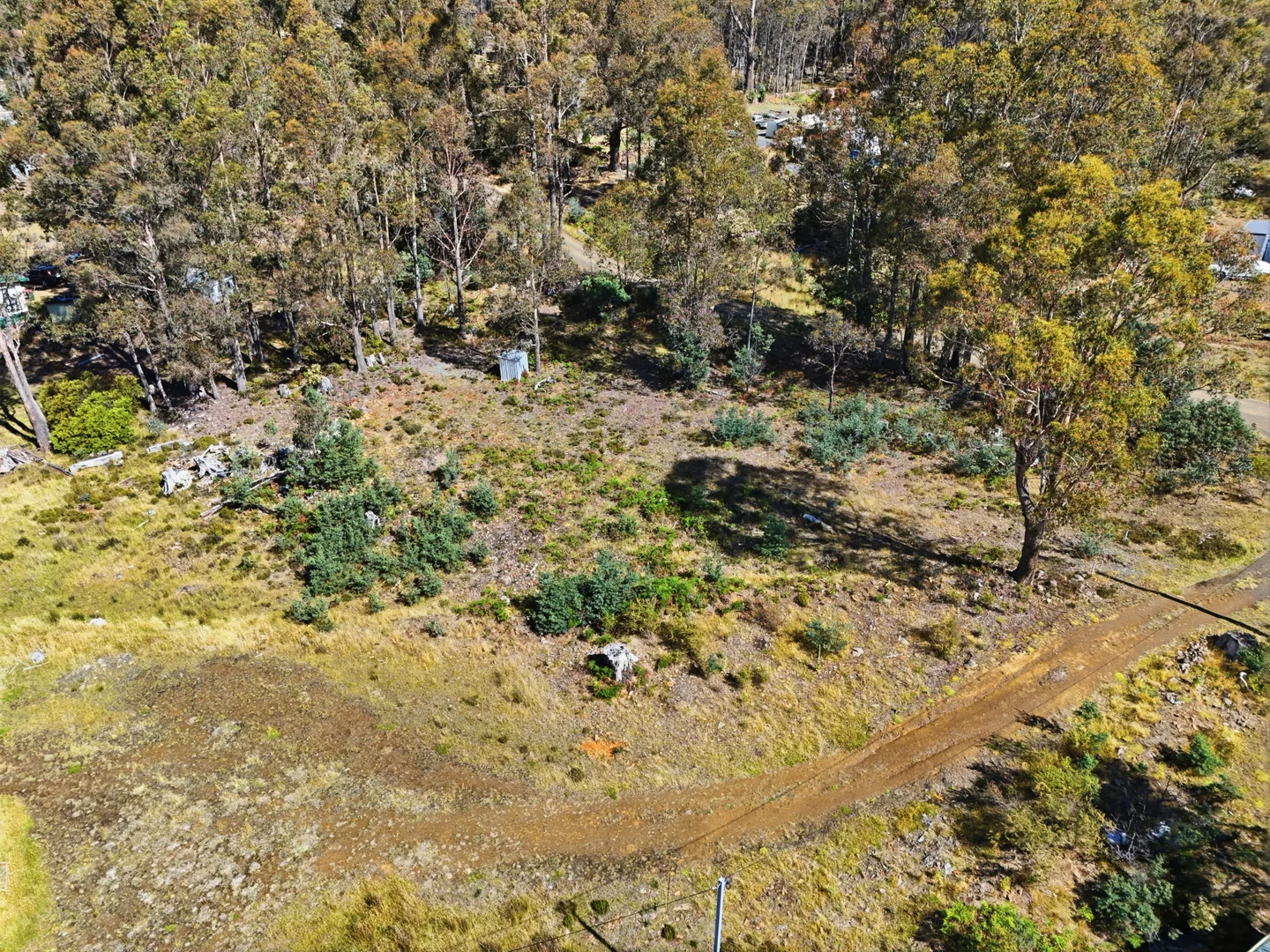 Image 19